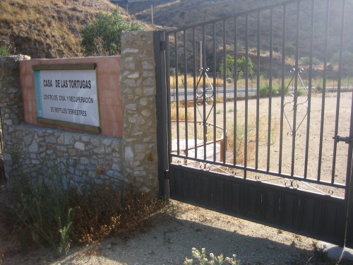 Casa de cría de la tortuga