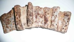 fragmento rueda dentada