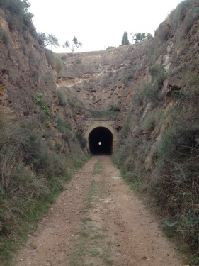servalico