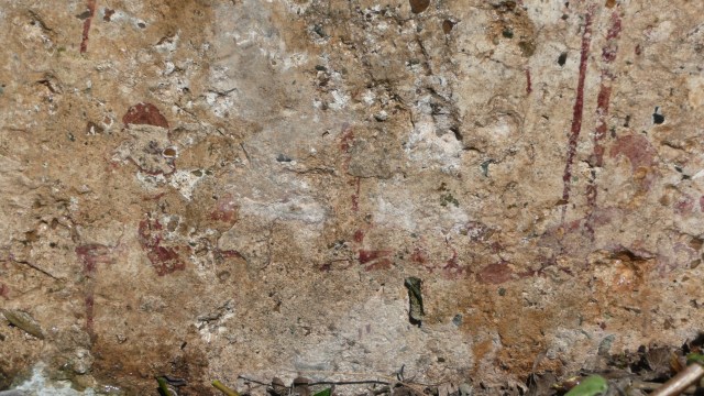 lateral derecho- normal