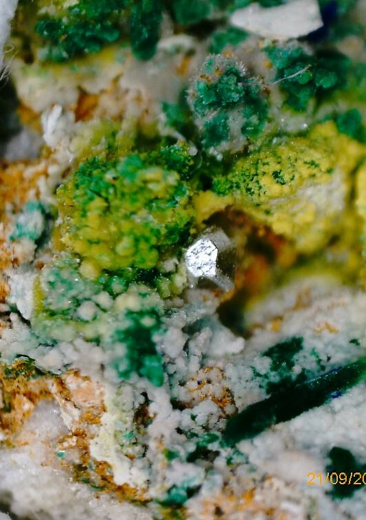 14517463_10210790674229571_3768336395064591006_n