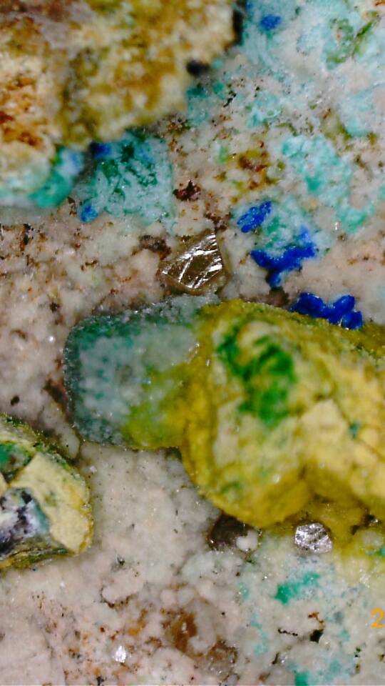 14567972_10210790671829511_5495973689471063009_n