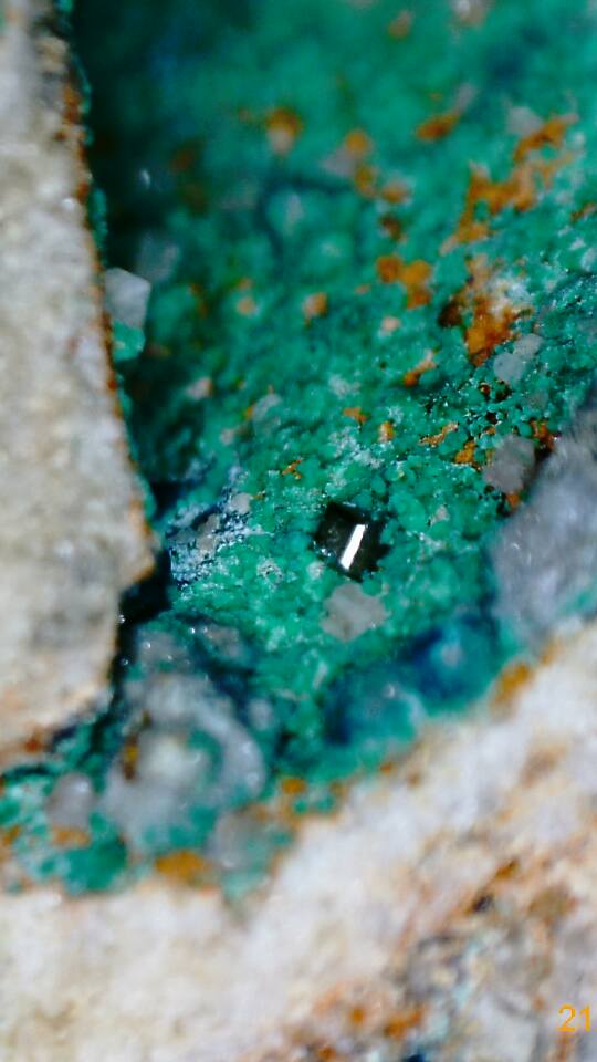 14604845_10210790674909588_3065370870435090935_n