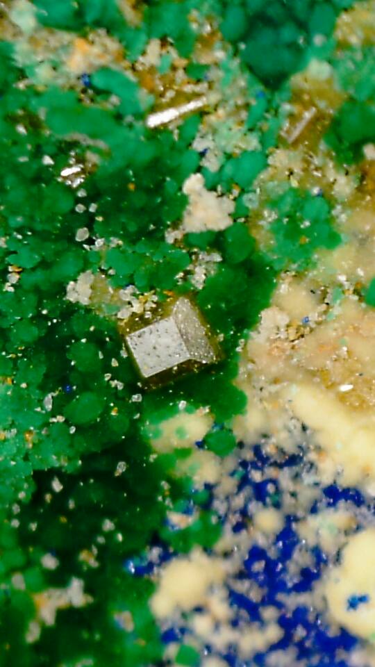 14650247_10210790671069492_8984843387580617149_n