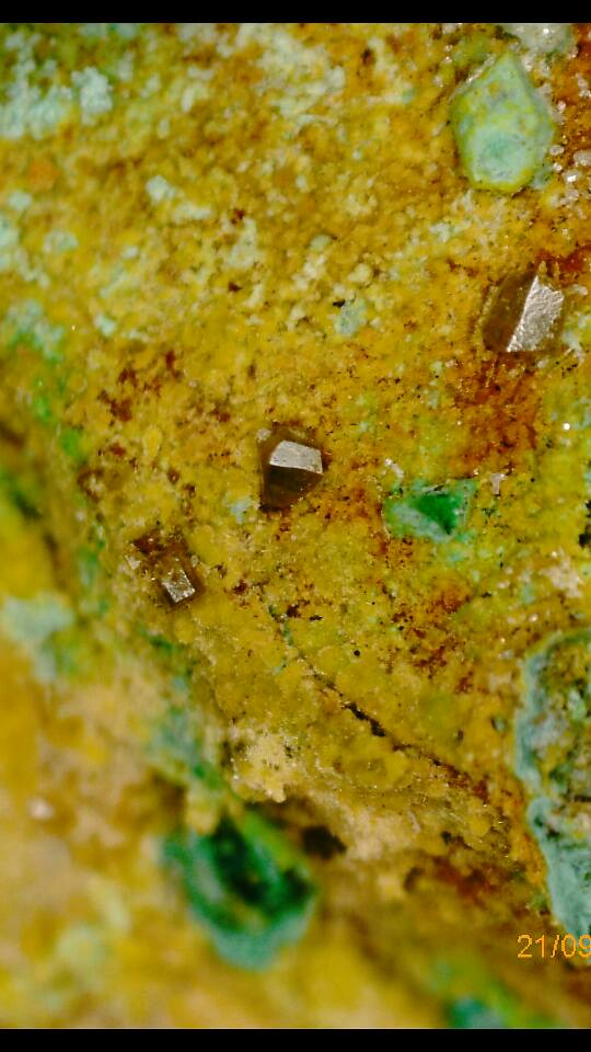 14656347_10210790672789535_3543247035647726339_n