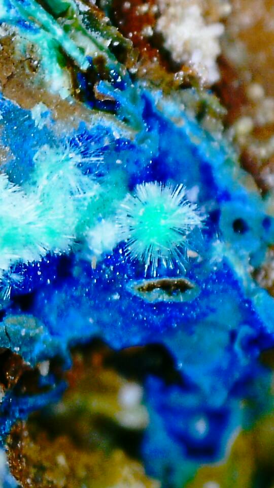 14680557_10210793853549052_8499204072707218774_n