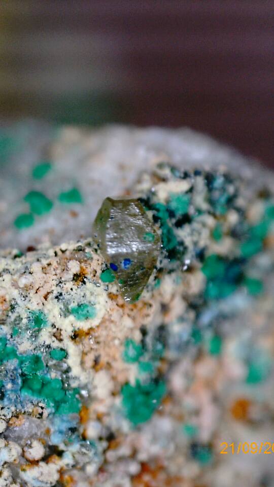 14680685_10210790671589505_3630456475066456019_n