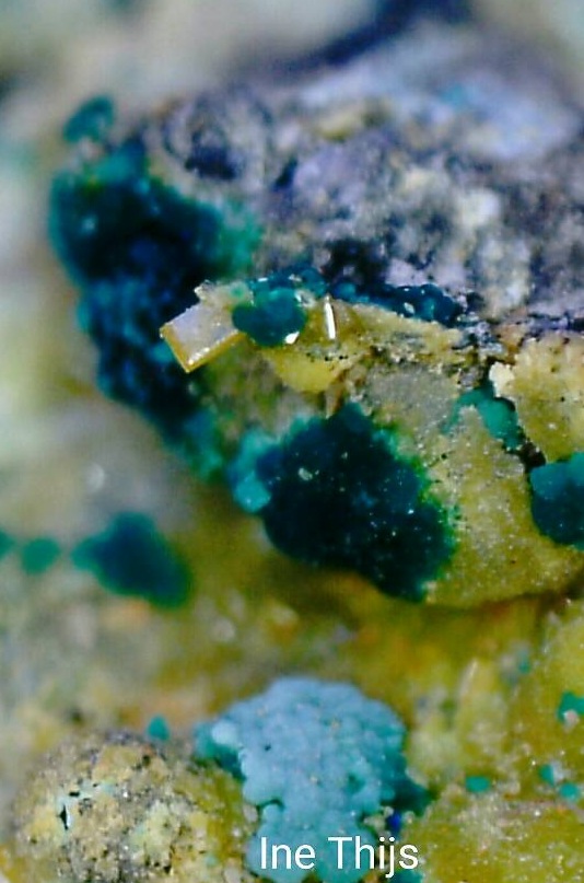 14695391_10210793856029114_4158849159551778926_n