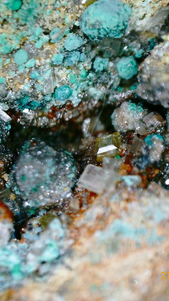 14713660_10210790669869462_1308081834858527985_n