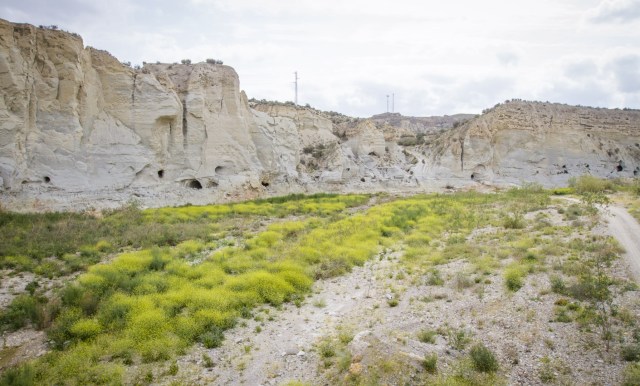 YACIMIENTO ARQUEOLOGICO DE EL ARGAR, ANTAS, LEVANTE ALMERIENSE