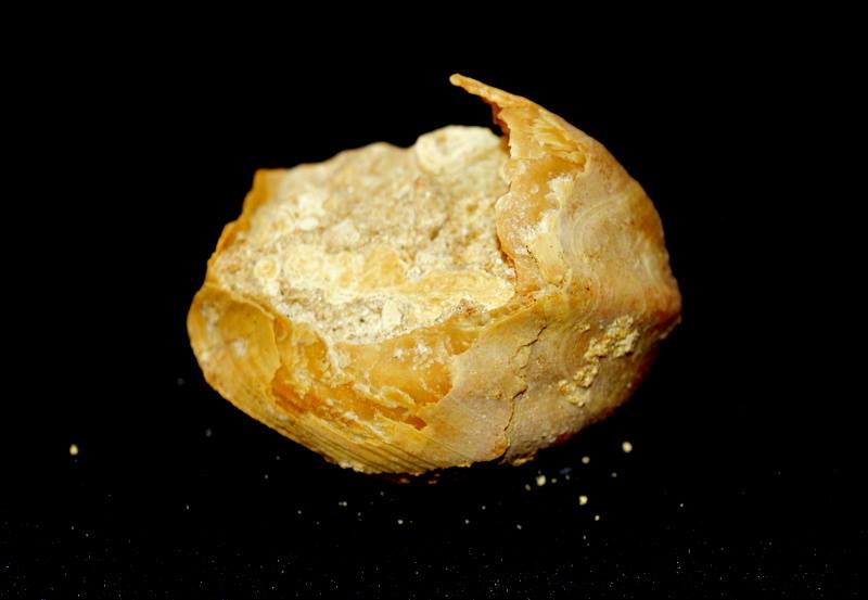 14958314_10211084007882729_416540293_n-copia