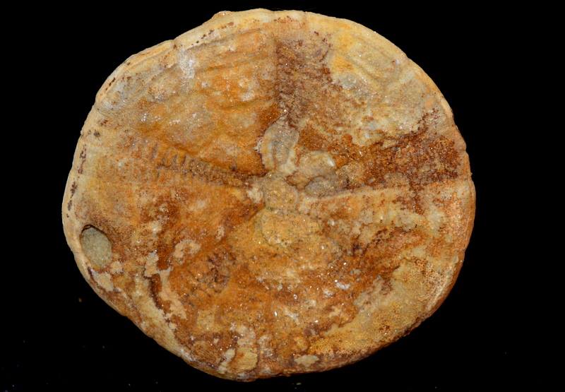 14958402_10211084009162761_1077472655_n-copia