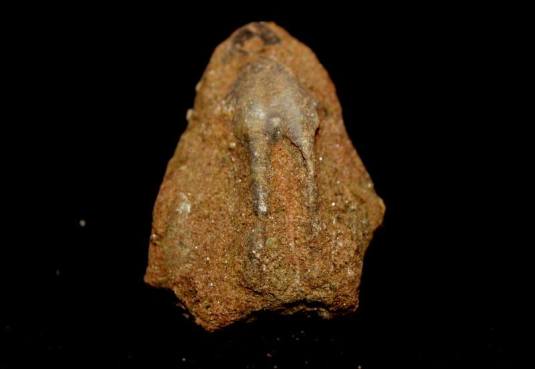 14958492_10211084009722775_1782583811_n