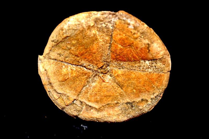 14958761_10211084009242763_1211534512_n