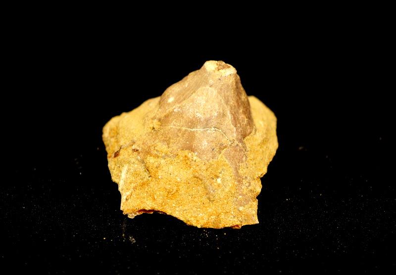 14961301_10211084008642748_1802753730_n