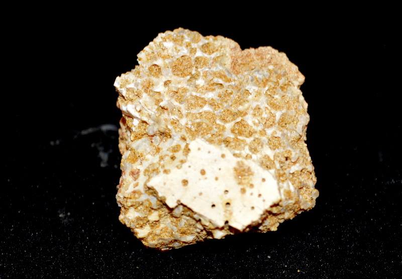 14962381_10211084007682724_1516779269_n