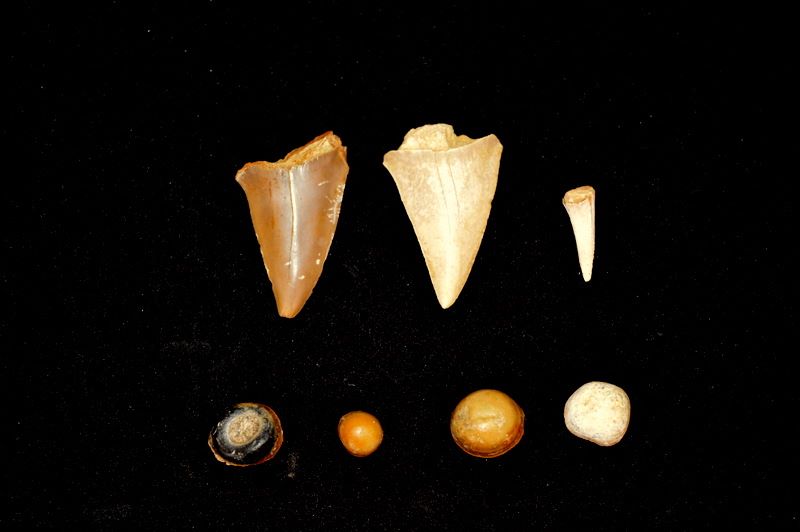 14962887_10211084009762776_849613724_n