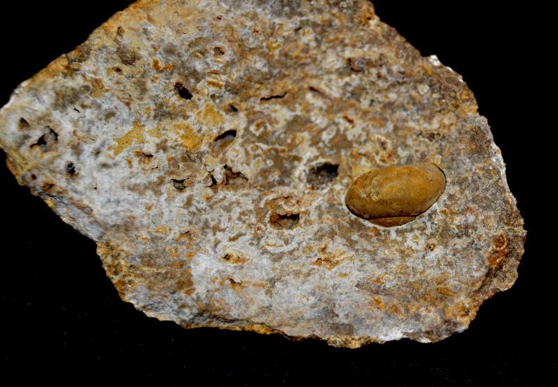 14962991_10211084011482819_1382322186_n