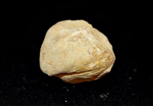 14971868_10211084008602747_768232386_n