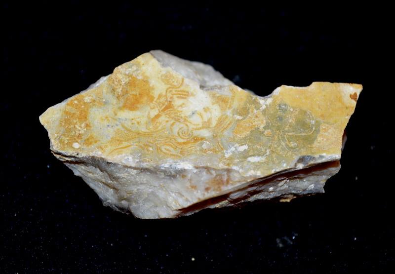 14971887_10211084008082734_1643395279_n