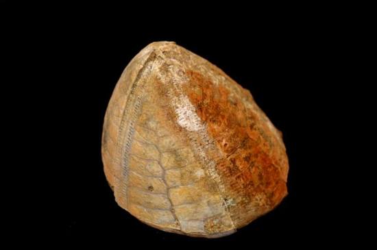 14996301_10211084009282764_523494131_n