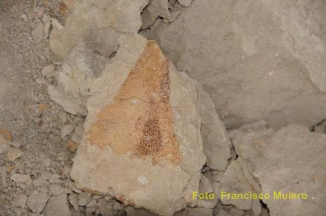 318147_275995052426971_7610387_n-copia