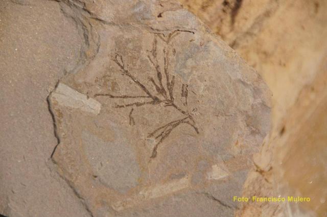 318319_304561976236945_827987047_n-copia