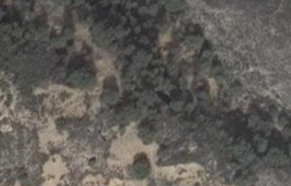 aqui-te-quiero-escopeta