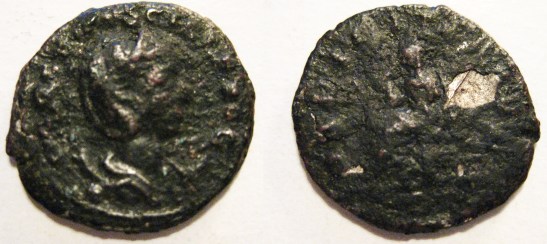 herenia etruscilla.jpg