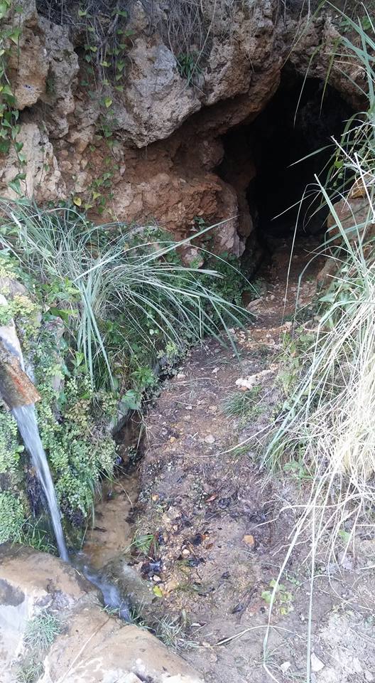 15622542_10208268827626388_300317367112451856_n