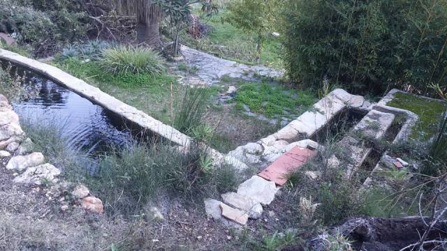 15665891_10208268828746416_5863930465499494605_n