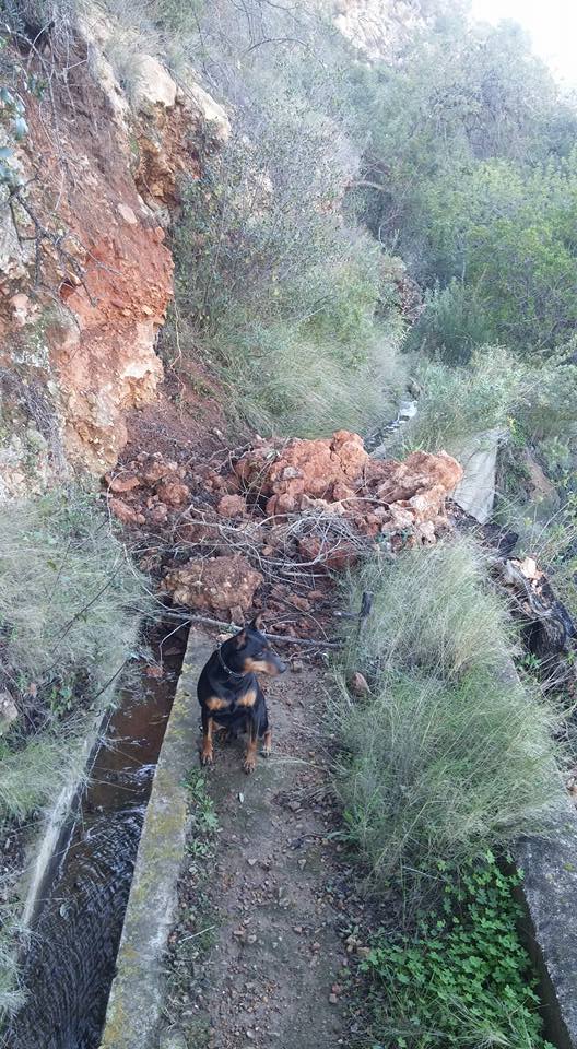 15672692_10208268831066474_698555066311417557_n