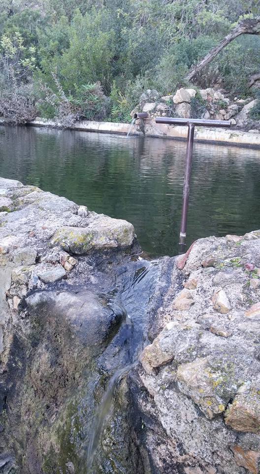 15673076_10208268830906470_3593061121881320365_n