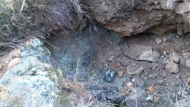 15697876_10208268827546386_6318449571924564456_n