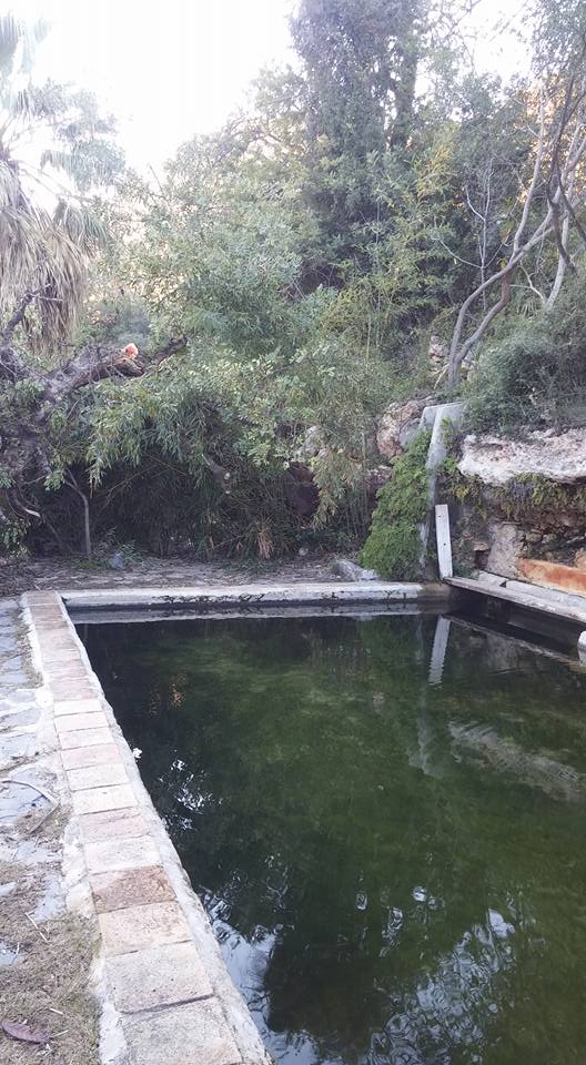 15698285_10208268830146451_5081996008735259113_n