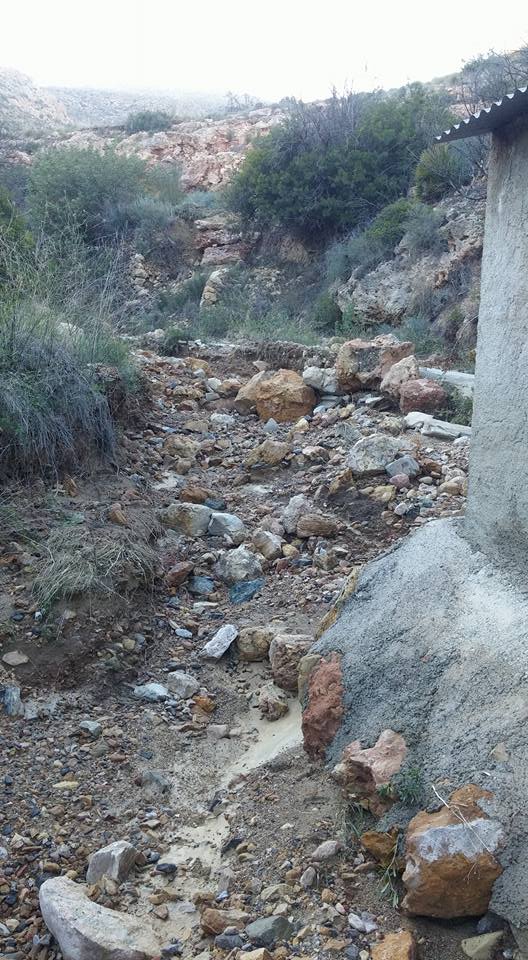 15726409_10208268827586387_4435685390471881957_n