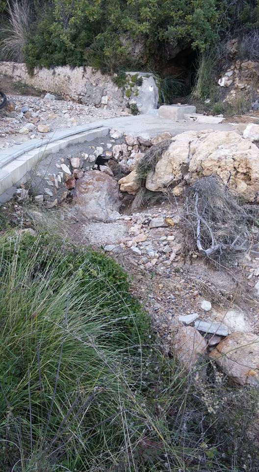 15726494_10208268828786417_6039824472764989301_n