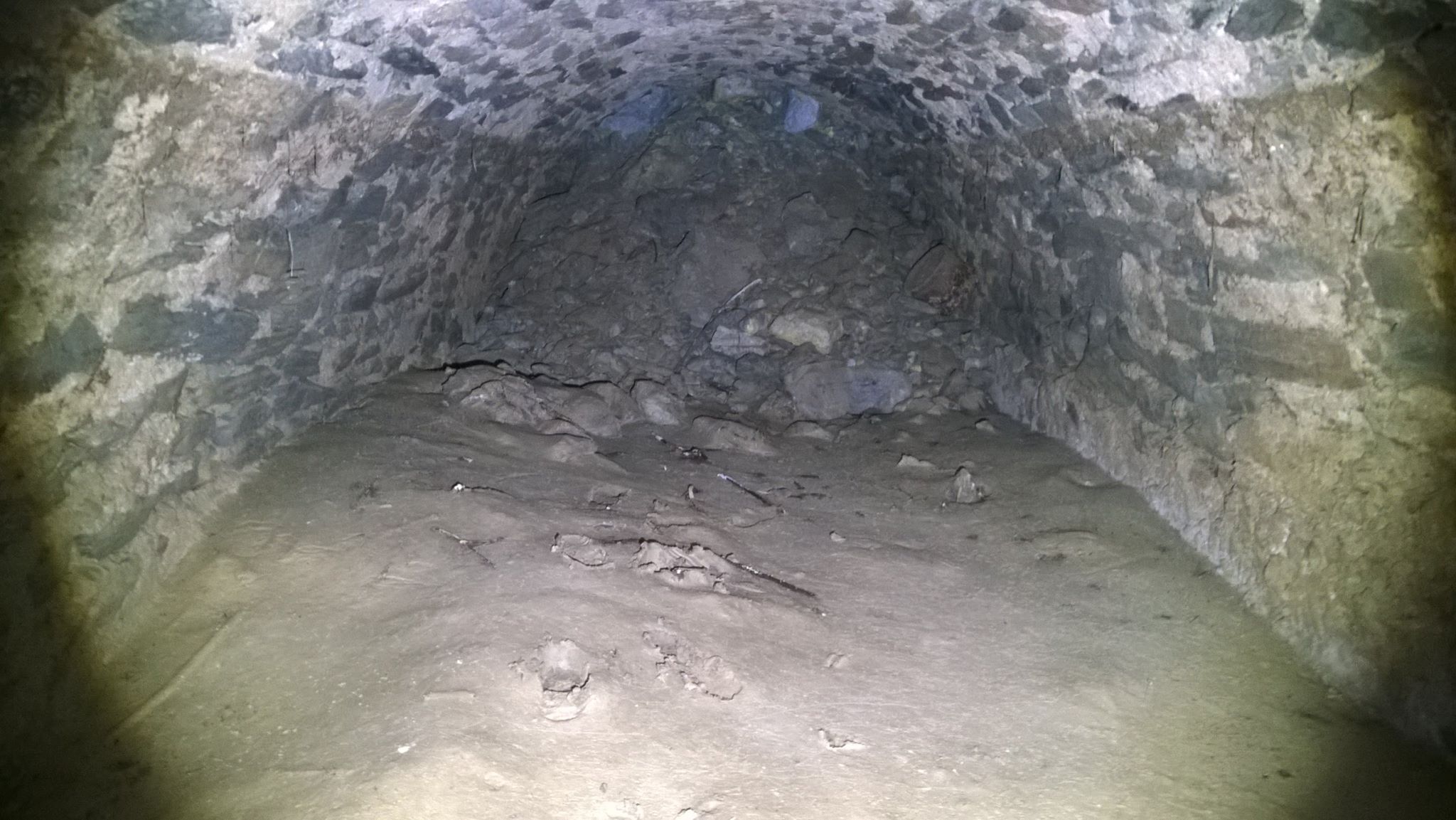 35963760_10215811520338699_6855443089239048192_n