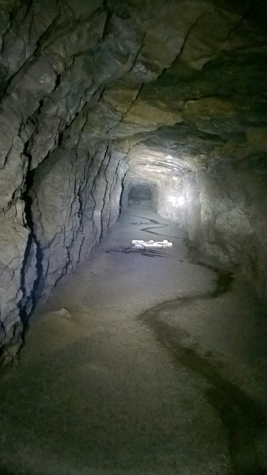 36026800_10215811513058517_7558949996360368128_n