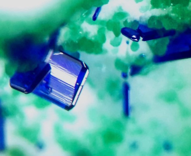 58933448_2256313244483363_434769089718648832_n