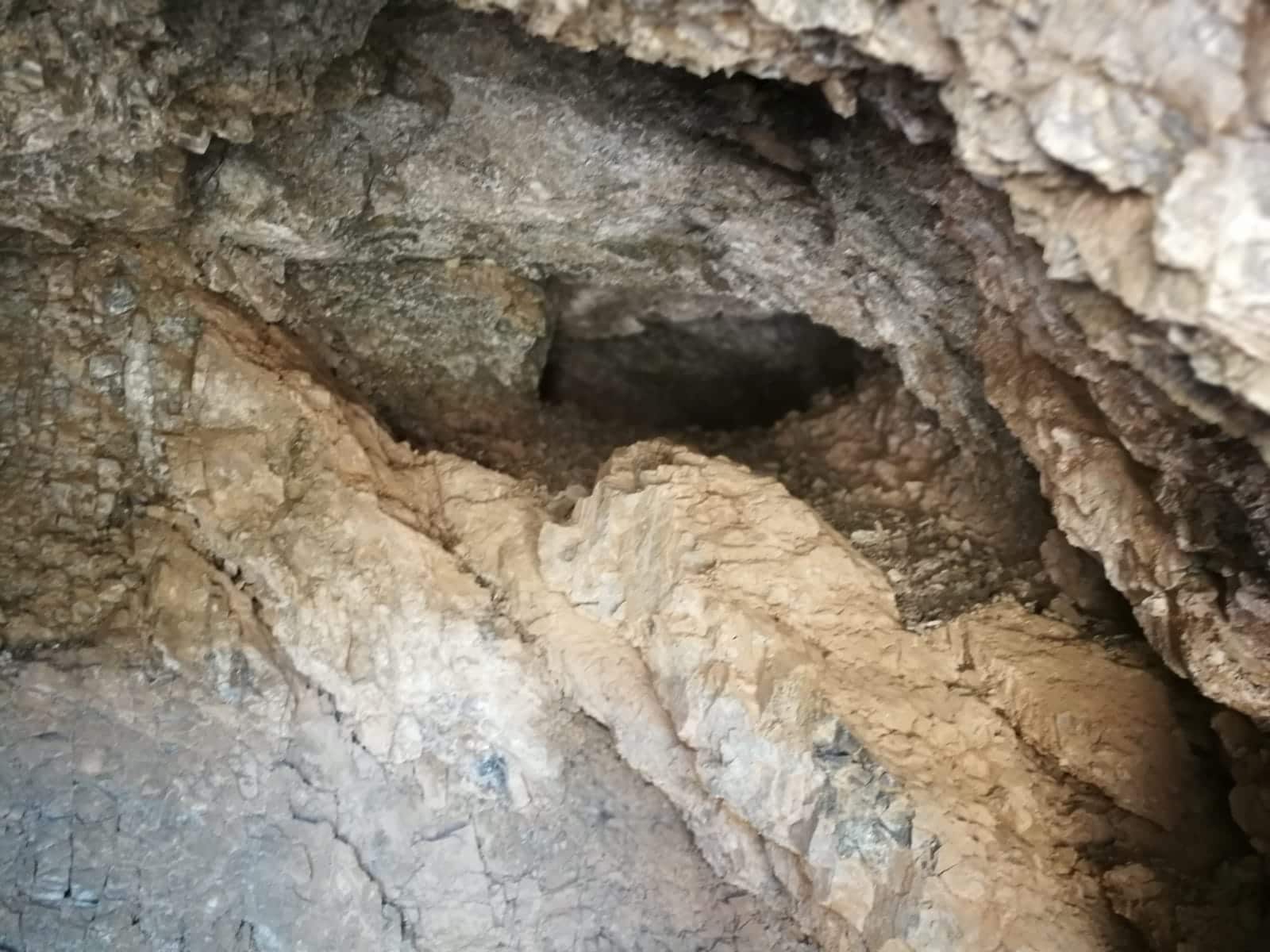 60814051_831783883844118_2591958079612387328_n