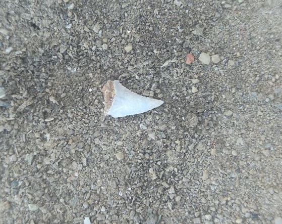 60996857_2404113362944062_7455468003518316544_n