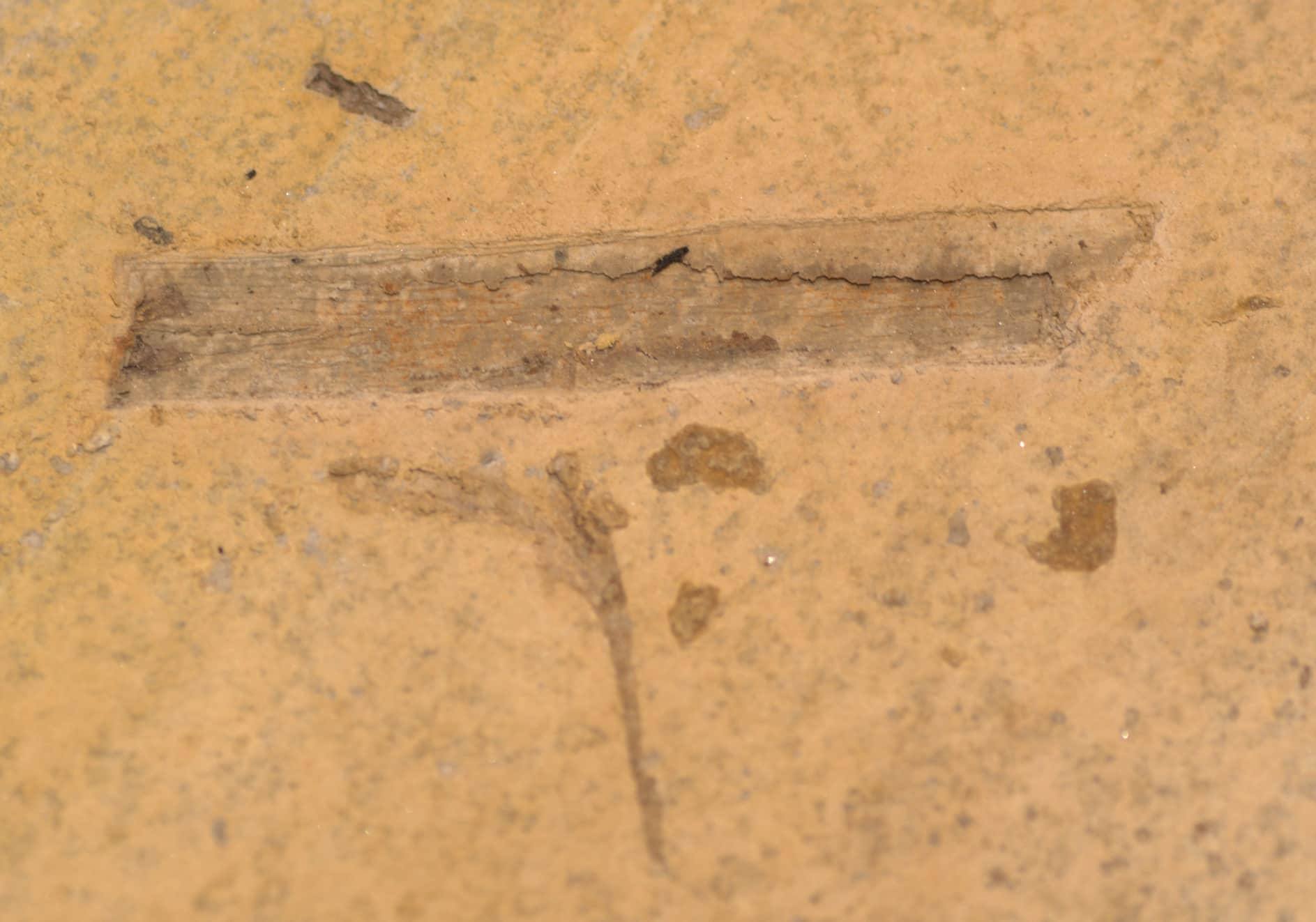 received_10216251224539916