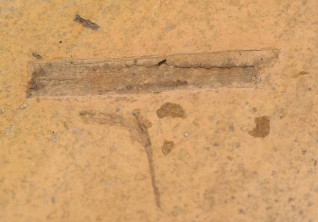 received_10216251224539916