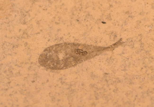 received_10216251226099955