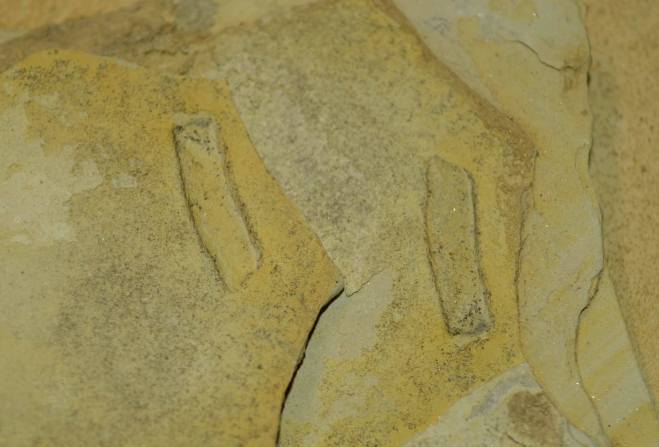 received_10216299924877394