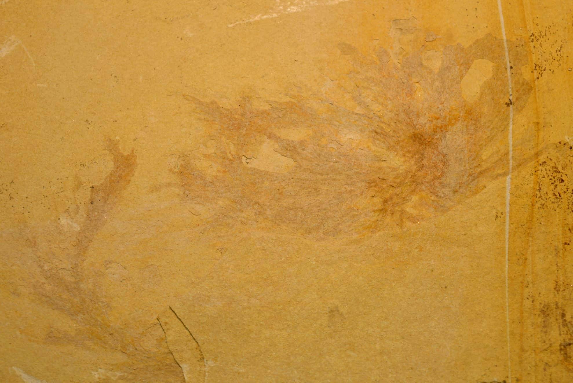 received_10216325236670173