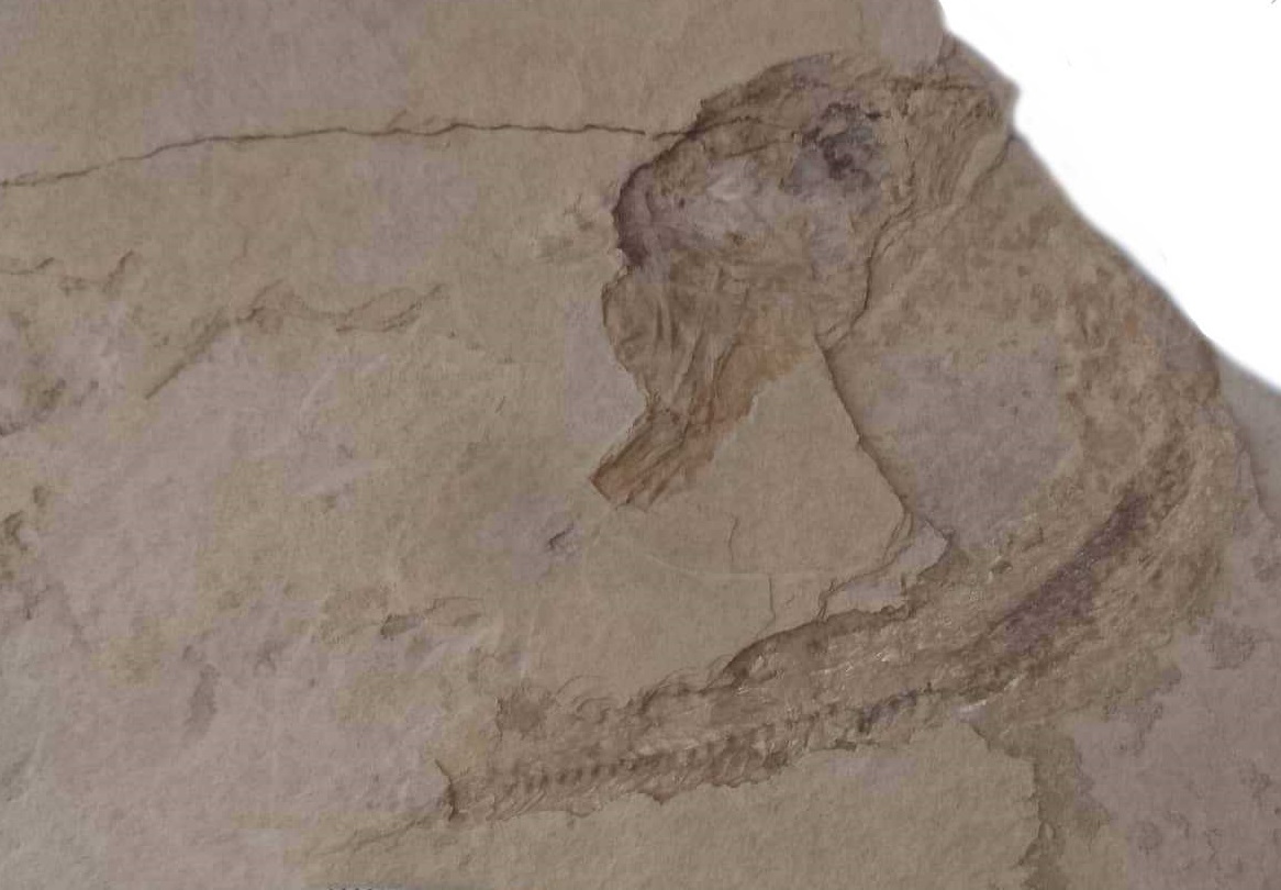 received_10216364100961756