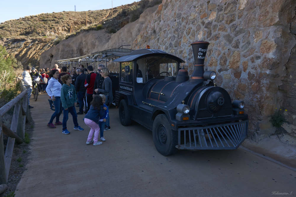 miseo minero de la union